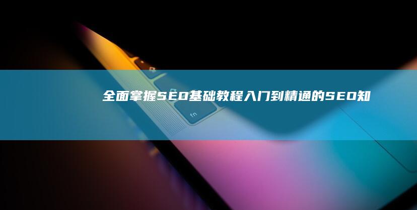 全面掌握SEO基础教程：入门到精通的SEO知识体系